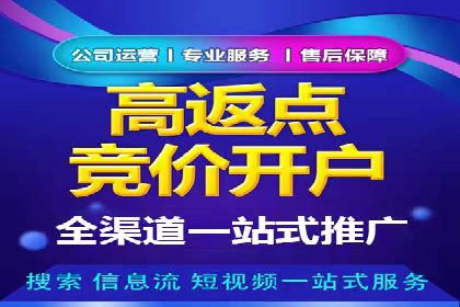 竞价SEM策略在金融行业的成功实践